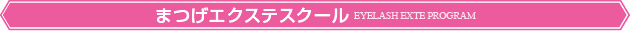 カルチャープログラム